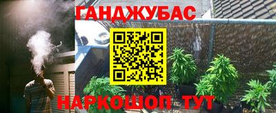 Альфа ПВП Ачхой-Мартан