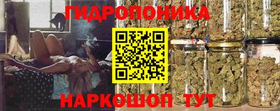 винт Аша