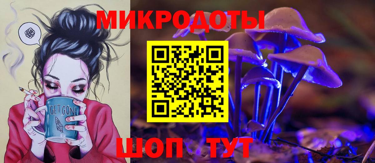 Галлюциногенные грибы Psilocybe  Вход с VPN  Баксан 